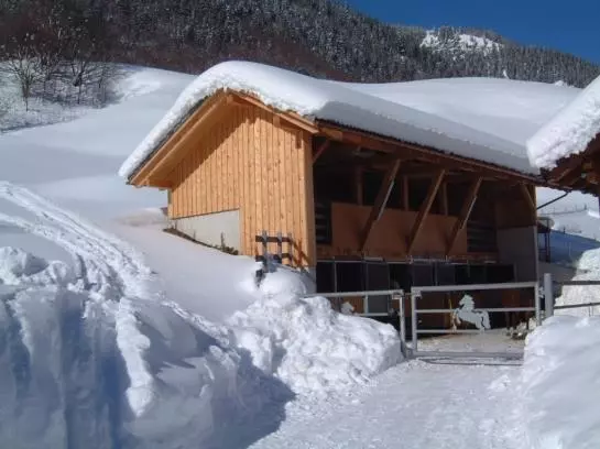 هتل Haus Alpenrose