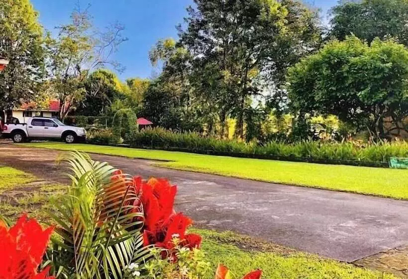 هتل Jardines Arenal