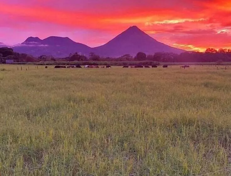 هتل Jardines Arenal