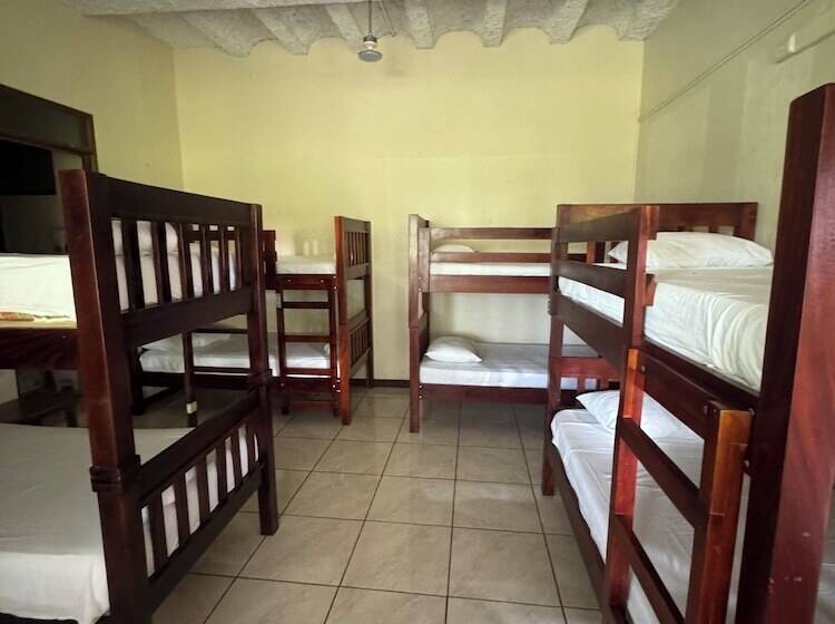 酒店 Jardines Arenal