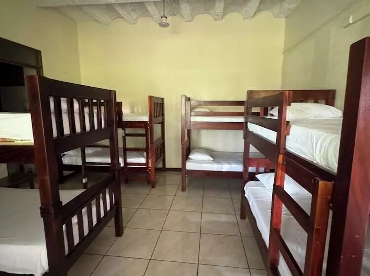 هتل Jardines Arenal