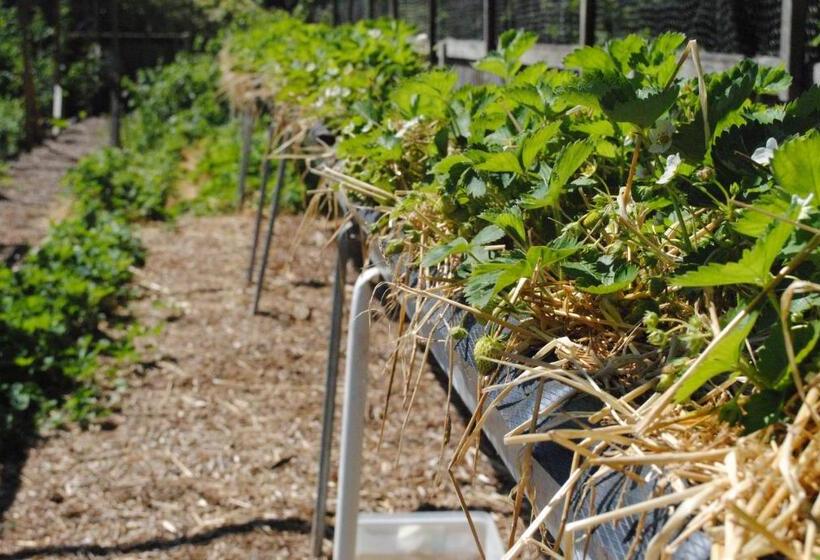 فندق Marsham Arms Inn