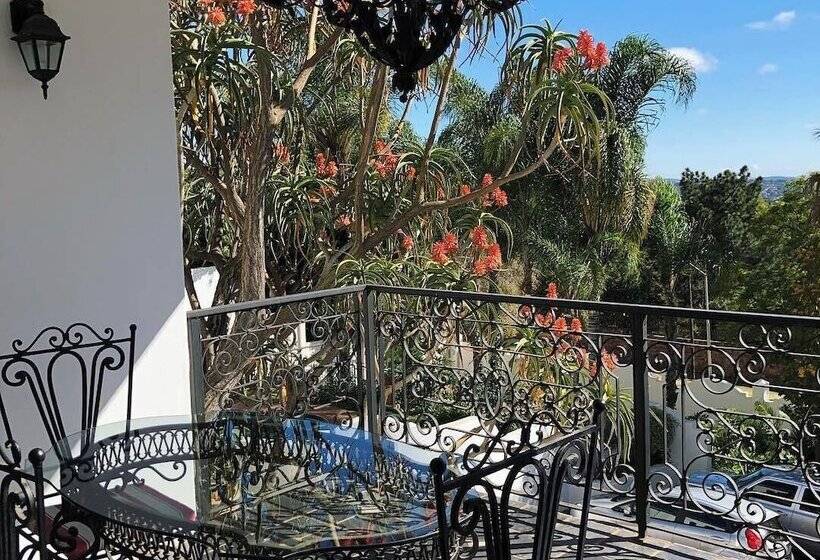 ホテル Waterkloof Mansion Boutique