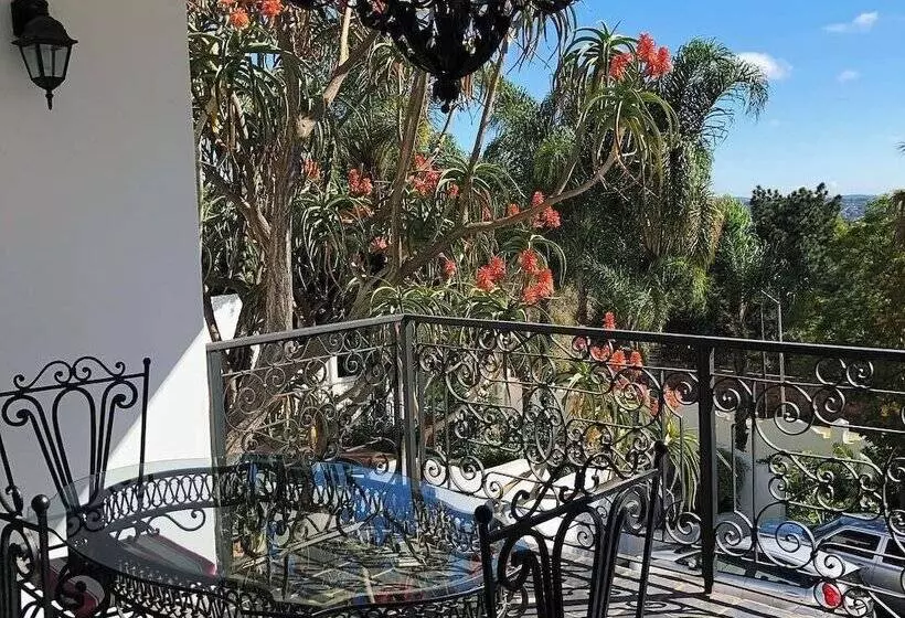 هتل Waterkloof Mansion Boutique