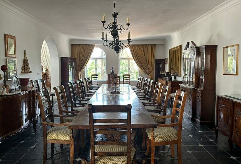 ホテル Waterkloof Mansion Boutique