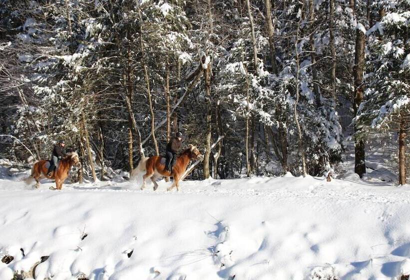 Sporthotel By Alpenlodge