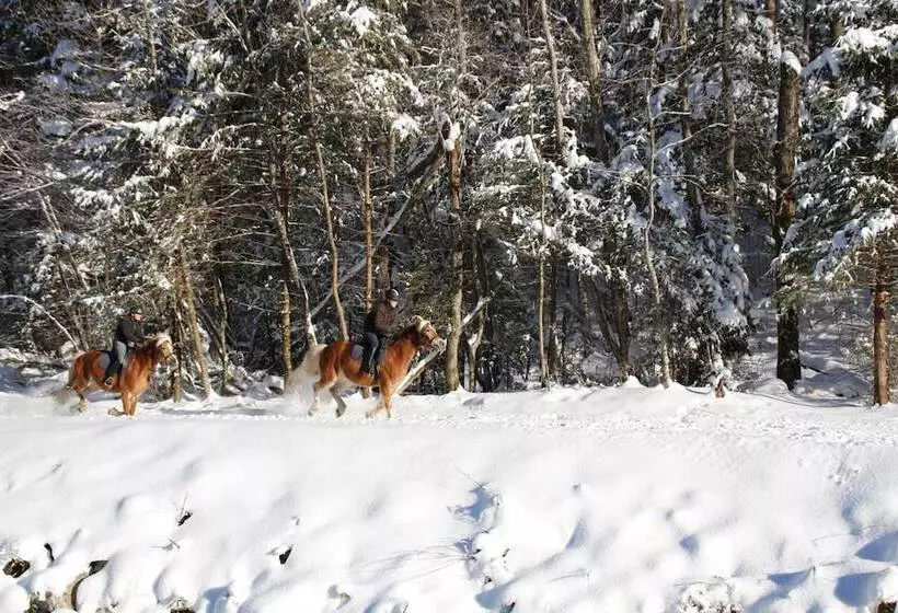 Sporthotel By Alpenlodge