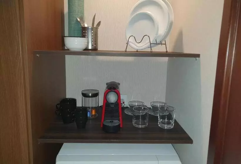 Flat Beach Class Internacional