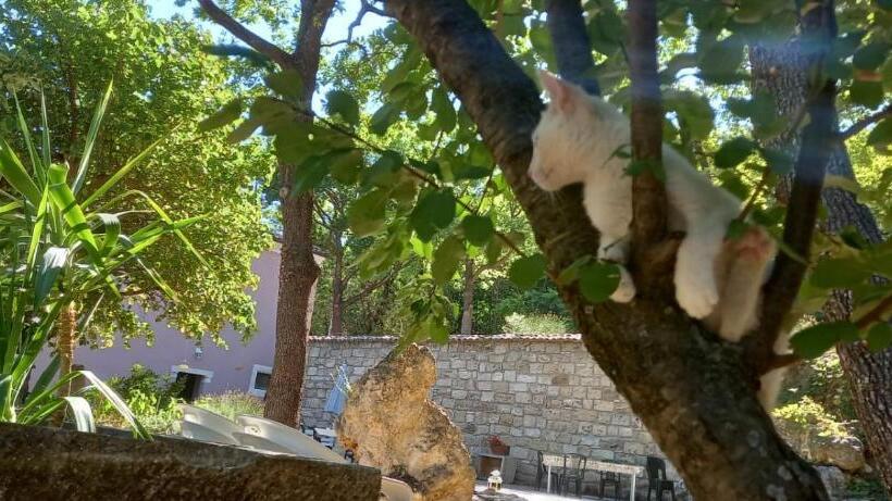 فندق Azienda Agrituristica La Torretta