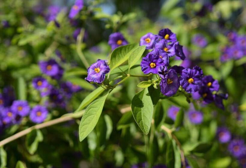 فندق Azienda Agrituristica La Torretta
