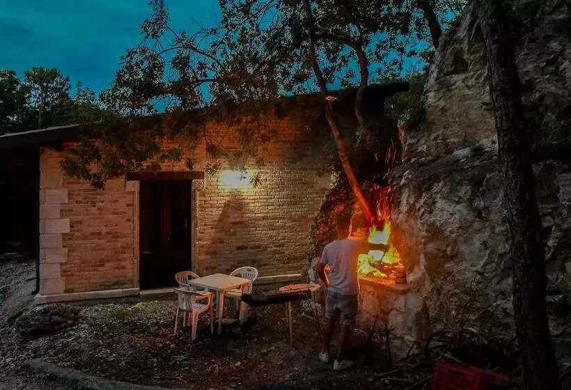 ホテル Azienda Agrituristica La Torretta