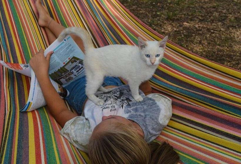 فندق Azienda Agrituristica La Torretta