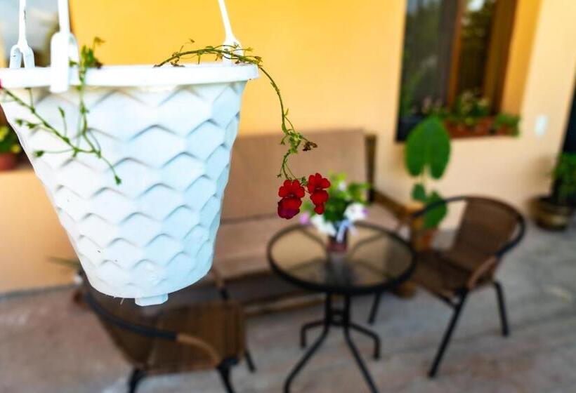 ペンション My Home In Tsinandali