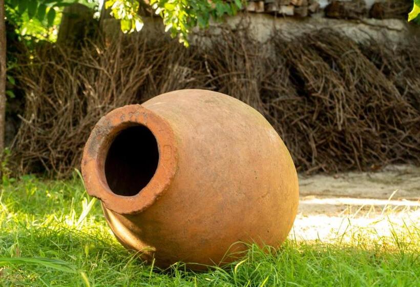 ペンション My Home In Tsinandali