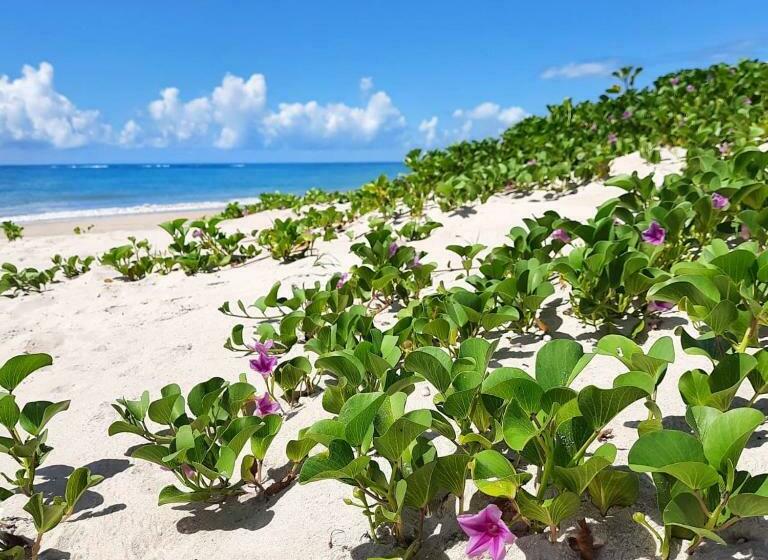 Pensionat Coco Pontall Bangalôs