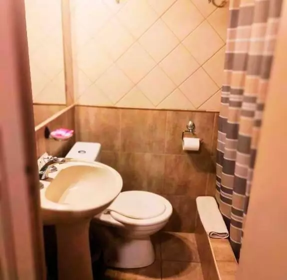 Hotelli Windsor Mendoza