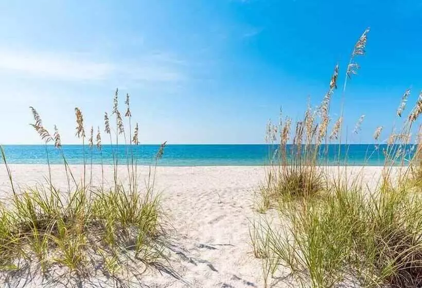 Beach Therapy