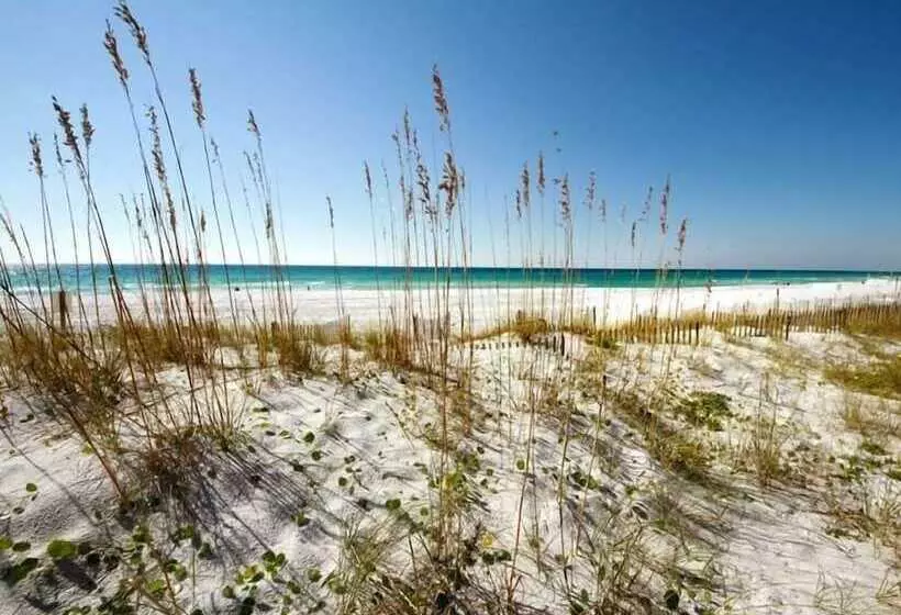 Dune Pointe 201