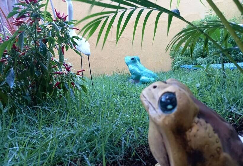 هتل Pousada Aconchego Do Tambaú