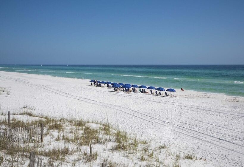 Sea Haunts #6b   Family Tides