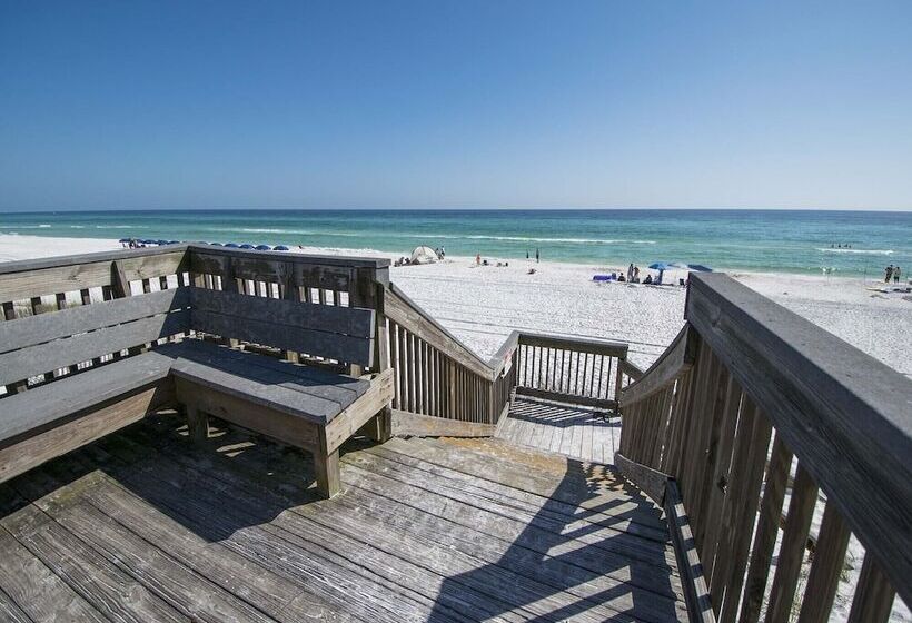 Sea Haunts #6b   Family Tides