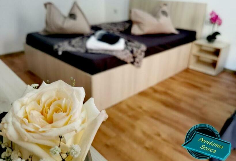 Pensiunea Scoica