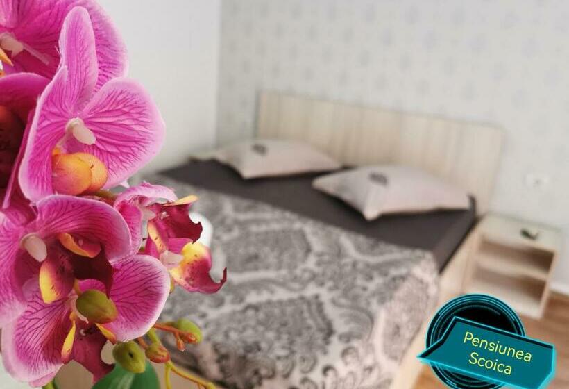 Pensiunea Scoica