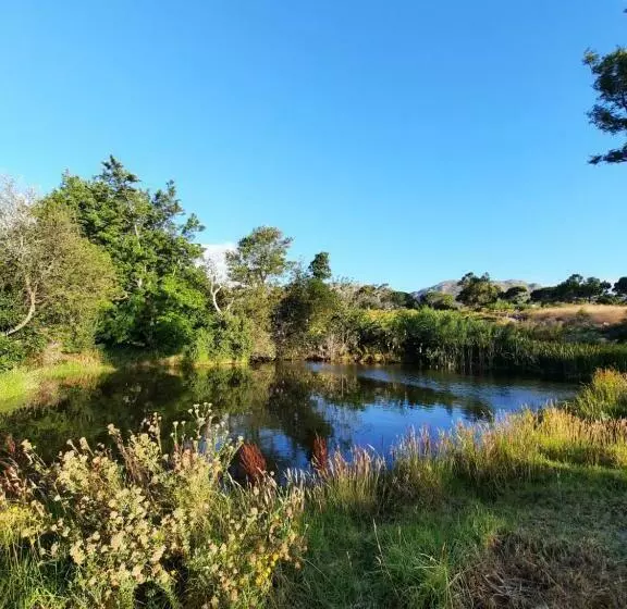 Kapselihotelli Greystones Self Catering Chalet 1