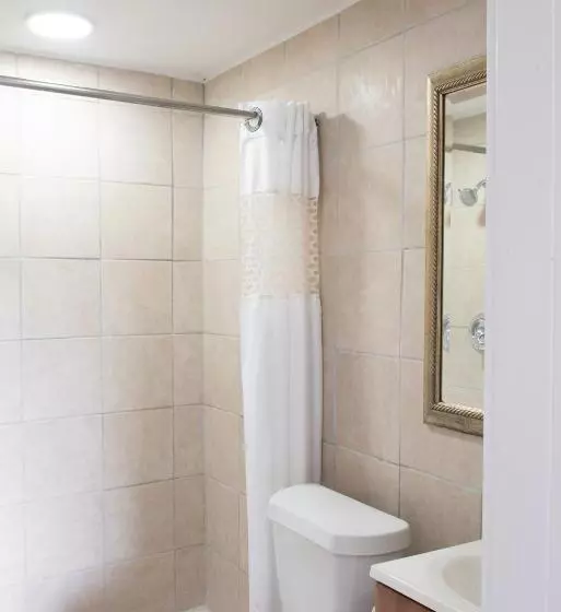 ホテル American Inn