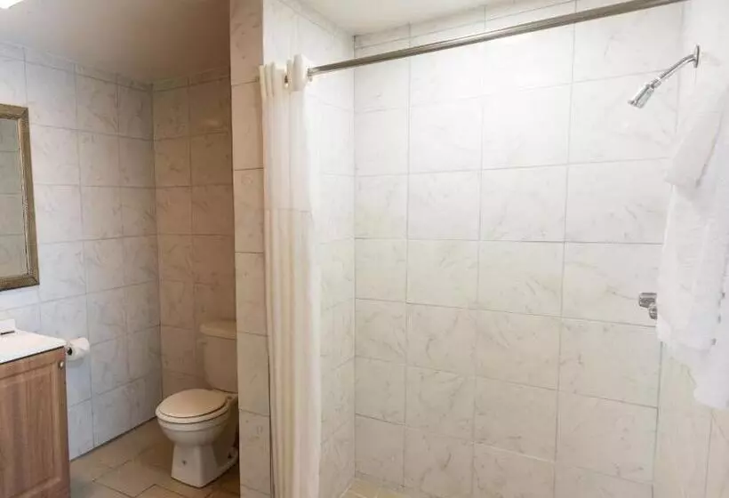 ホテル American Inn