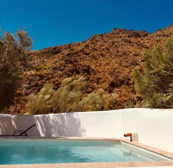 پانسیون Mill.space