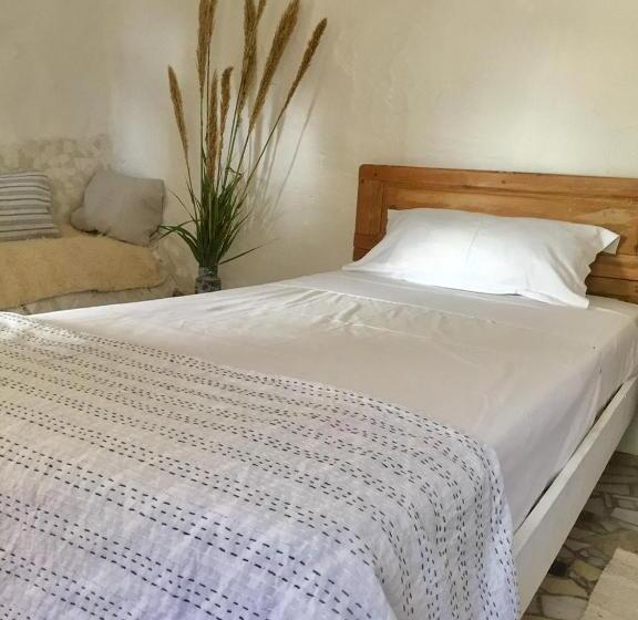 پانسیون Mill.space