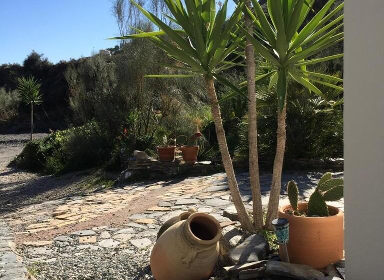 پانسیون Mill.space