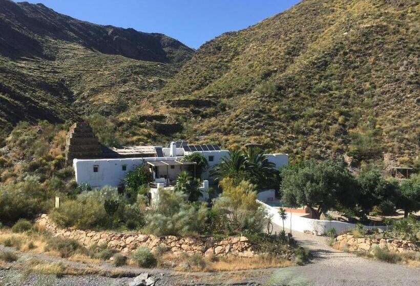 پانسیون Mill.space