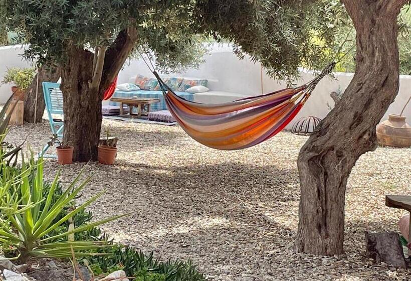 پانسیون Mill.space