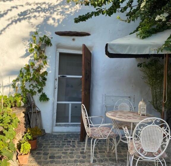 پانسیون Mill.space