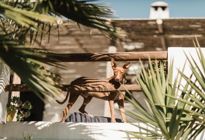 پانسیون Mill.space