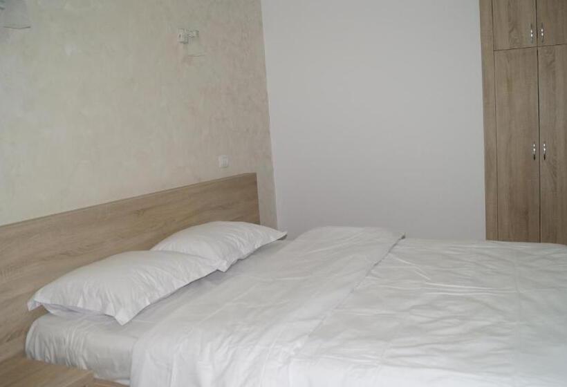 פנסיון Vila Ovidiu