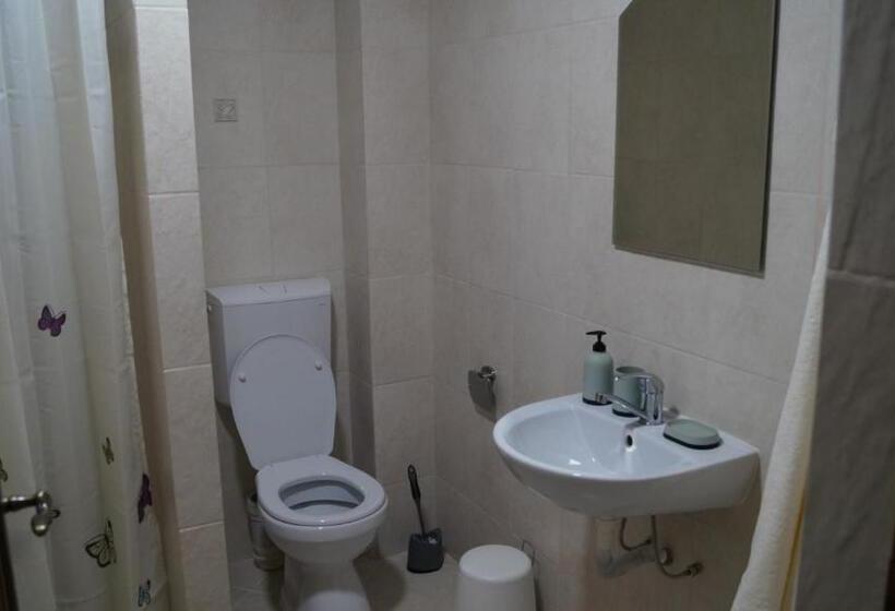 פנסיון Vila Ovidiu