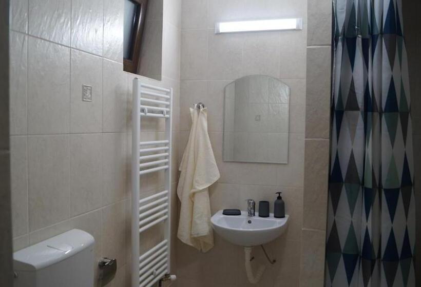 פנסיון Vila Ovidiu