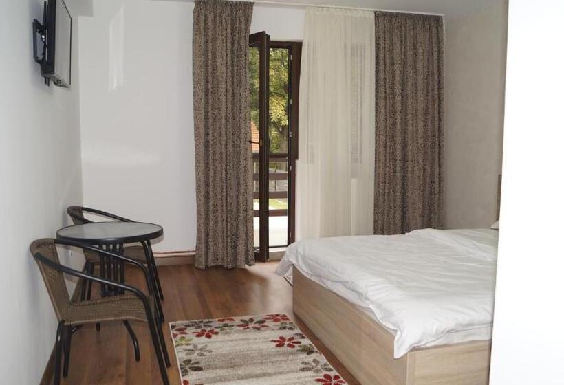 פנסיון Vila Ovidiu