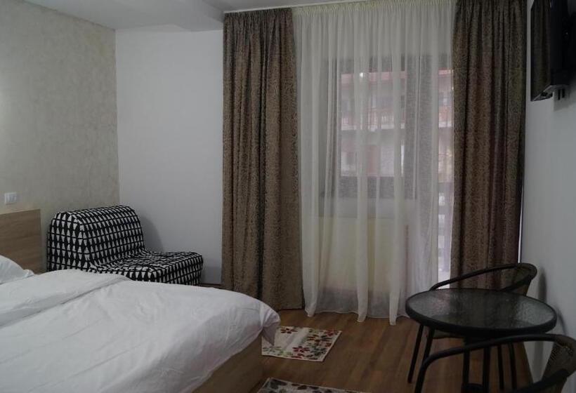 פנסיון Vila Ovidiu