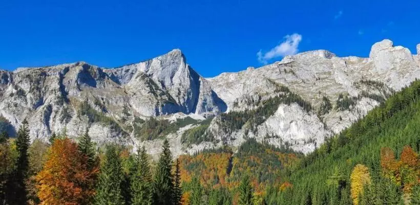 Retkeilymaja Der Bodenbauer