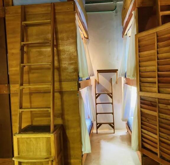 호스텔 Hostal Holbox