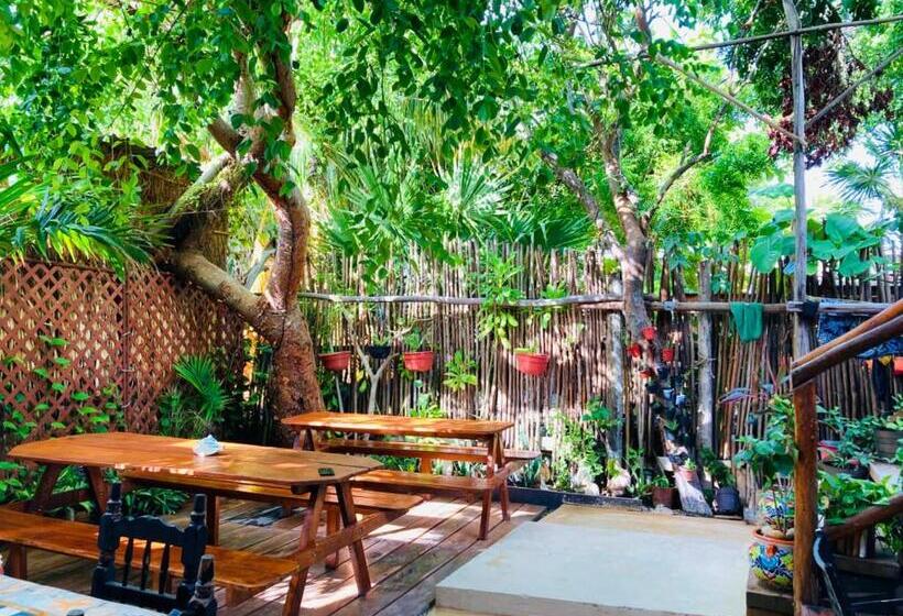 호스텔 Hostal Holbox