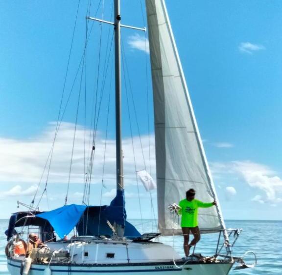 호스텔 Hostal Holbox