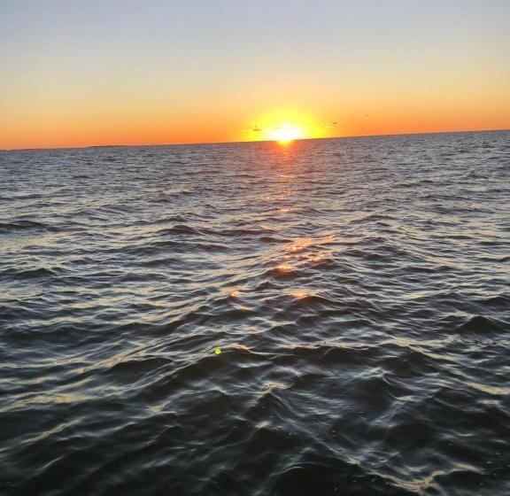 호스텔 Hostal Holbox