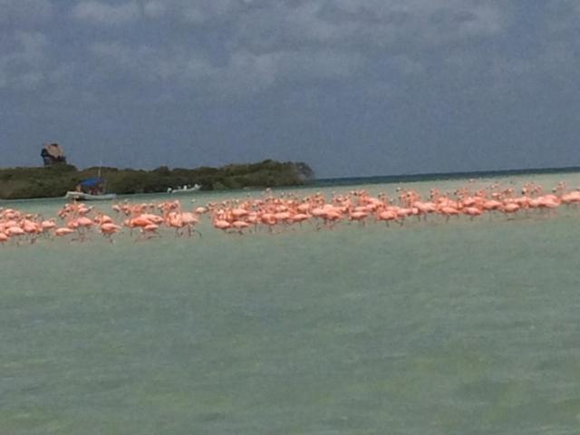 호스텔 Hostal Holbox