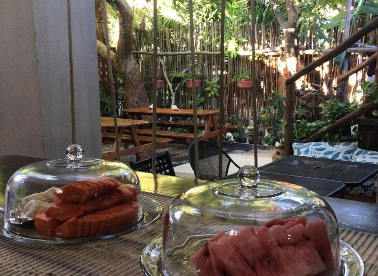 호스텔 Hostal Holbox