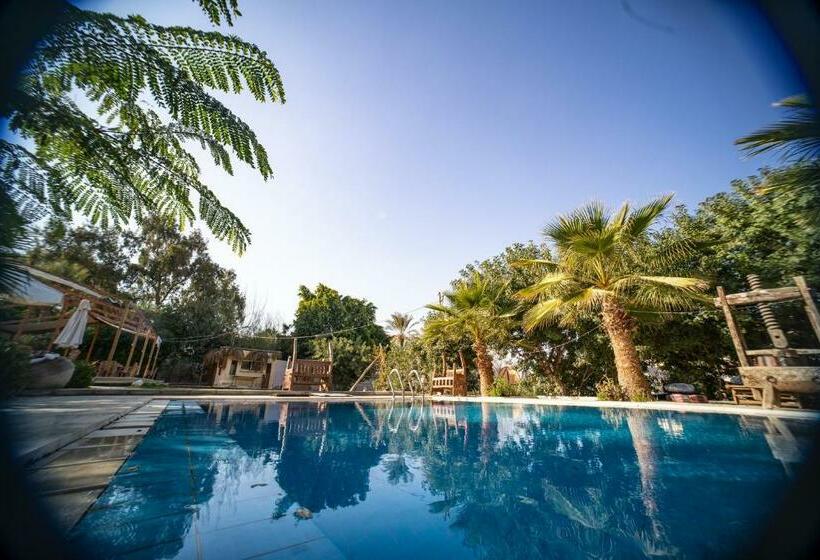 پانسیون Tzila Lodge